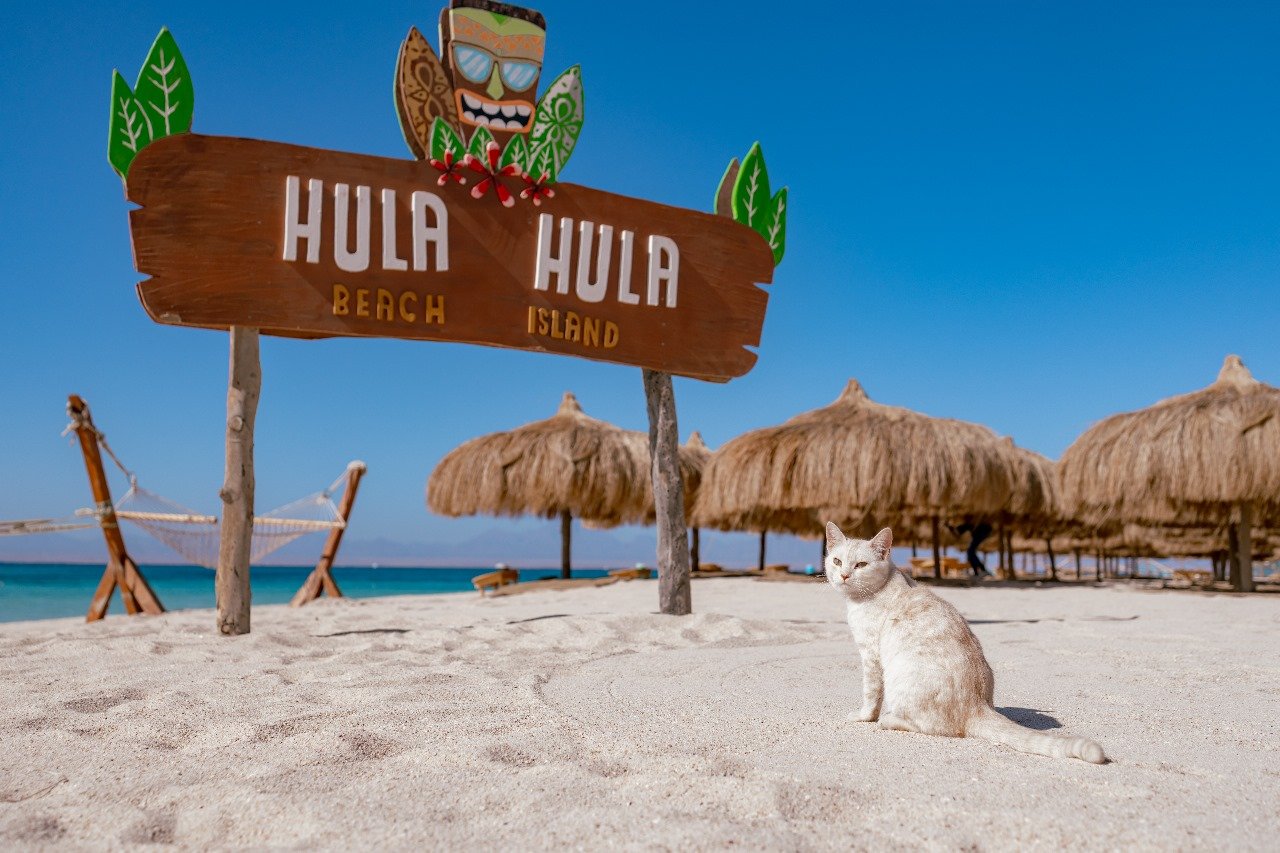 Hula Hula Insel Plus – Der luxuriöse Schnorchelausflug ab Hurghada