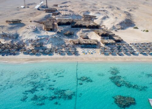 Mahmya Island – Dream Snorkeling Trip in the Paradise of the Red Sea