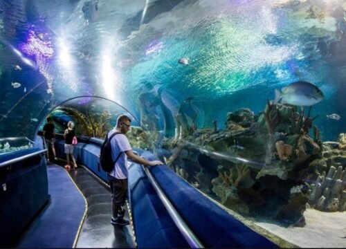 Grand Aquarium Hurghada