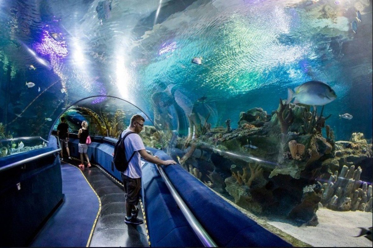 Grand Aquarium Hurghada