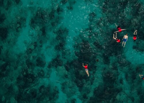 Coral Garden Snorkeling