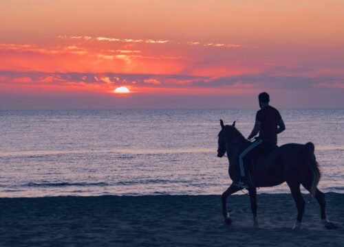 Pferdeausritt in Hurghada – Reiten in der Wüste & am Meer
