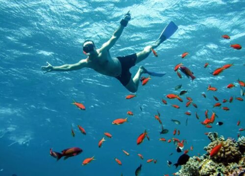 Sharm El Naga – Paradies für Schnorchler und Naturliebhaber