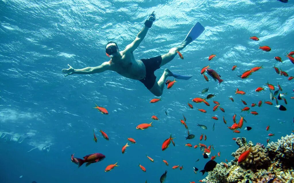 Sharm El Naga – Paradies für Schnorchler und Naturliebhaber